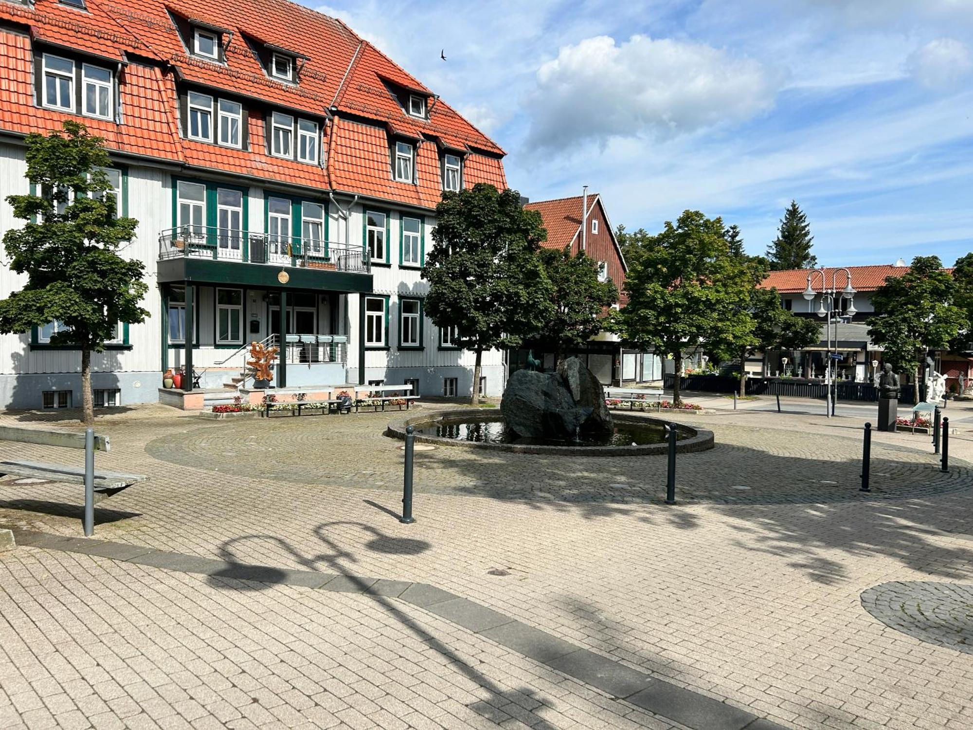 Ferienapartment Hahnenklee Apart 1 Гослар Екстериор снимка