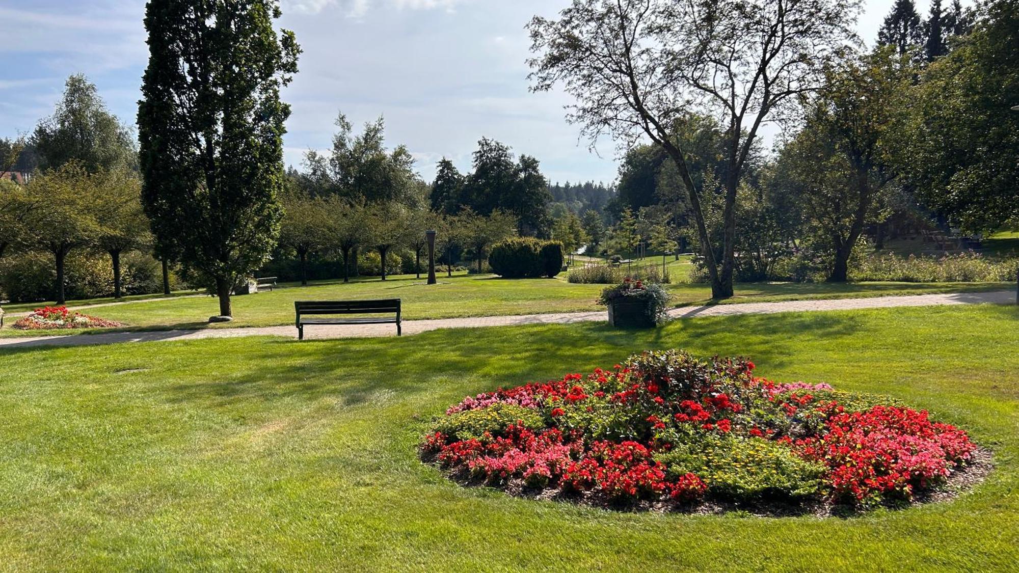 Ferienapartment Hahnenklee Apart 1 Гослар Екстериор снимка