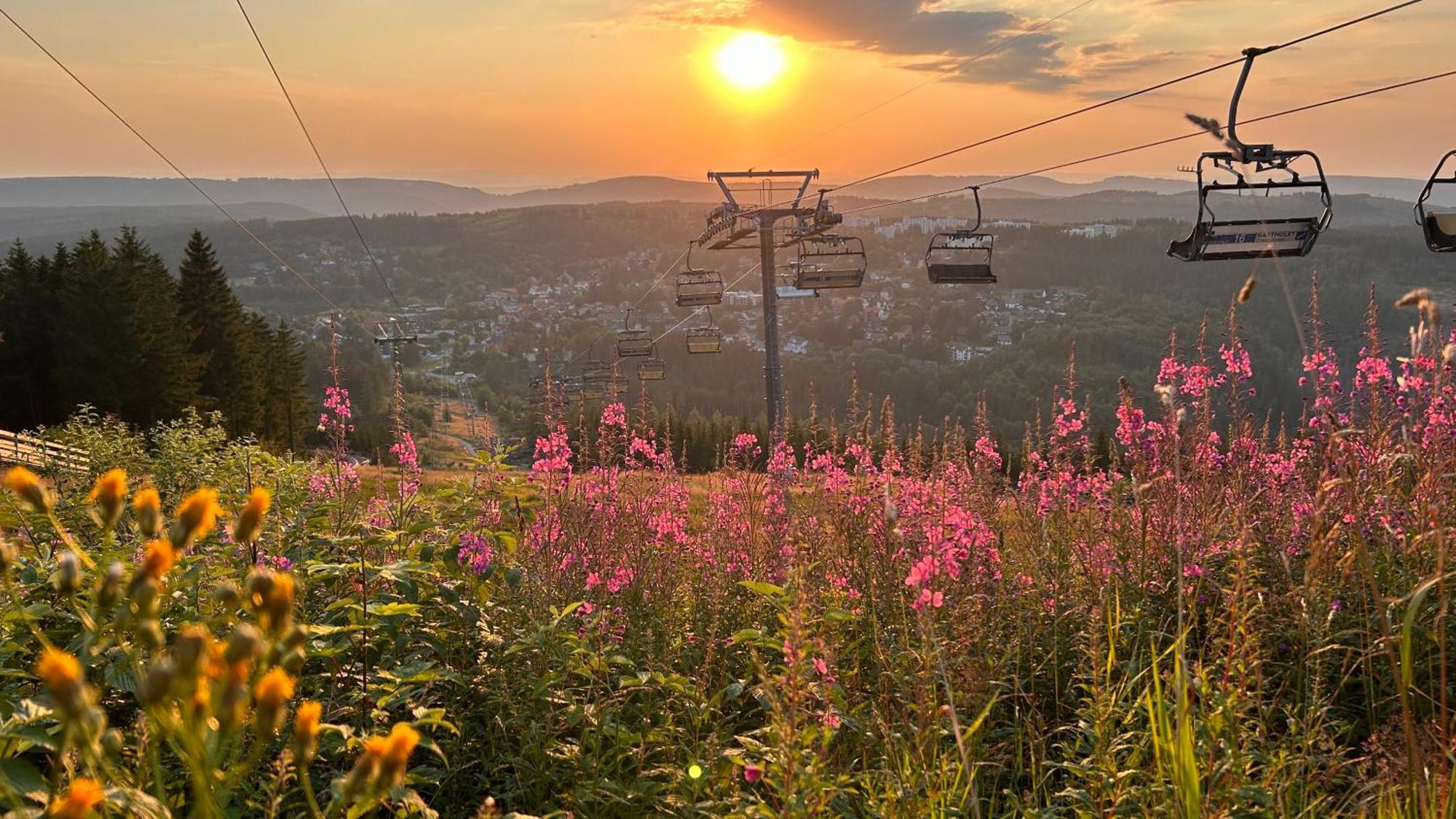 Ferienapartment Hahnenklee Apart 1 Гослар Екстериор снимка